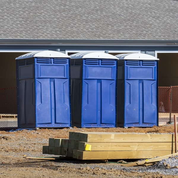 how often are the porta potties cleaned and serviced during a rental period in Canoochee